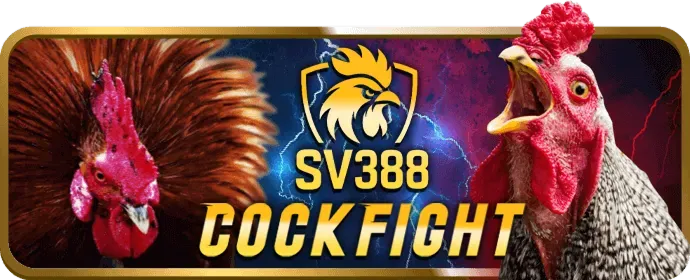 Chứng nhận RNG tại u888 vip0